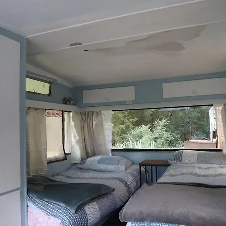 Akerama Farm Stay Hukerenui Exterior photo